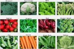 健康：冷凍蔬菜所含維生素比新鮮蔬菜多